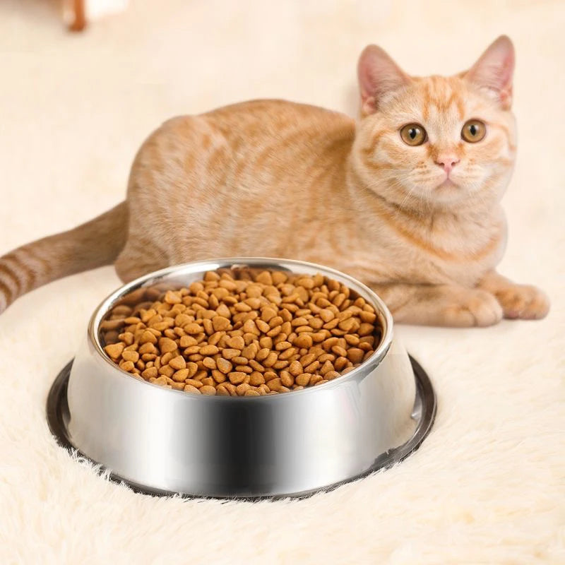 Stainless Steel Pet Bowl