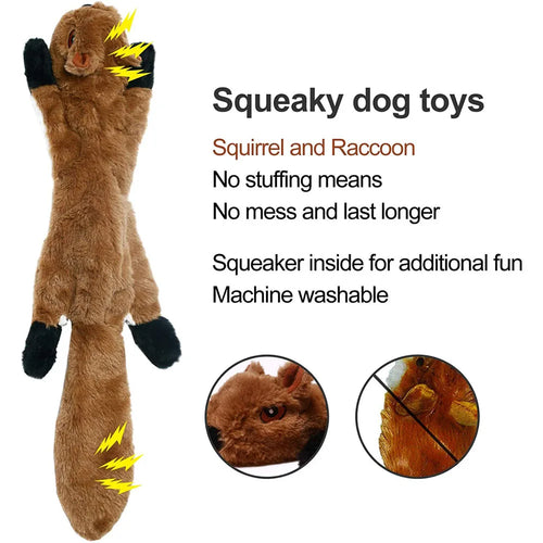 Dog squeaky toy